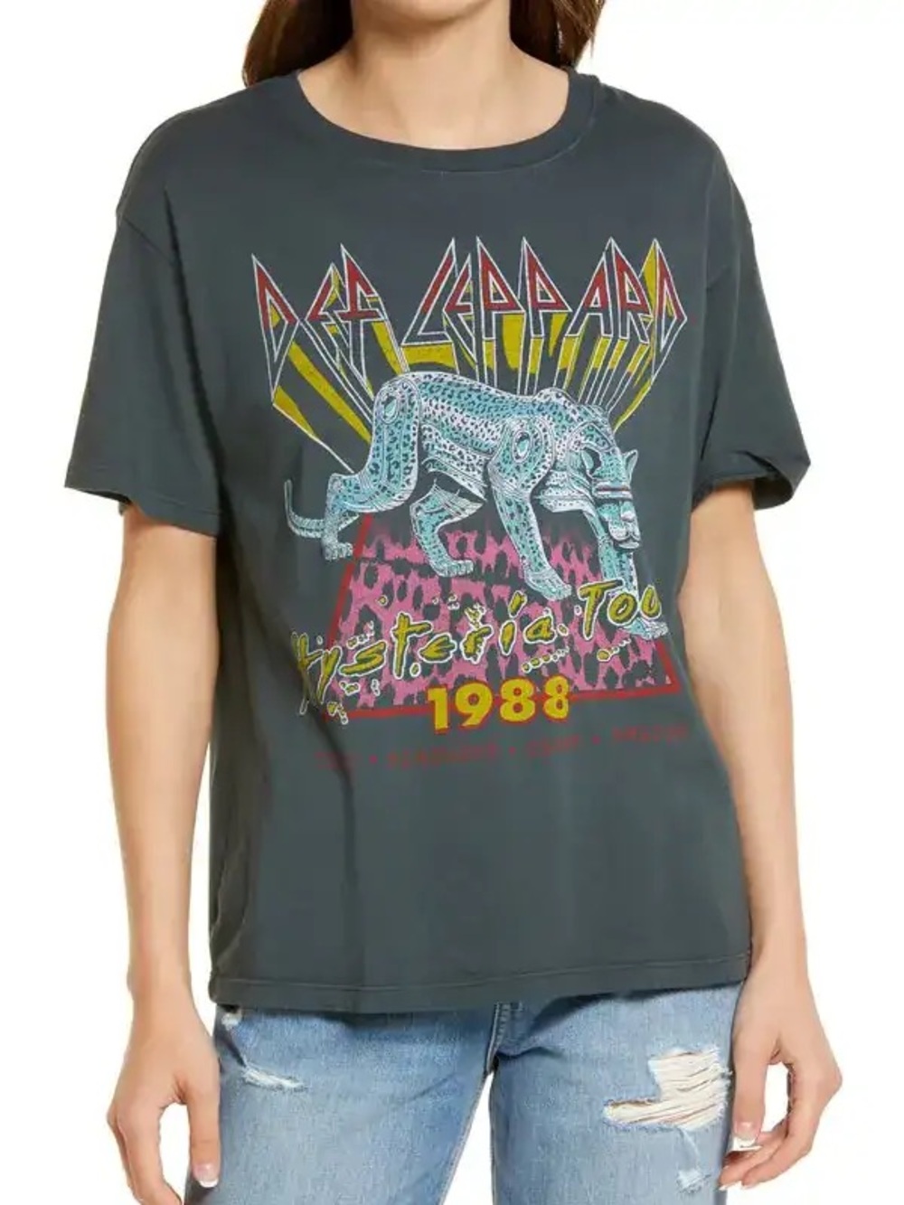 Daydreamer Gray Def Leppard Tour Tee